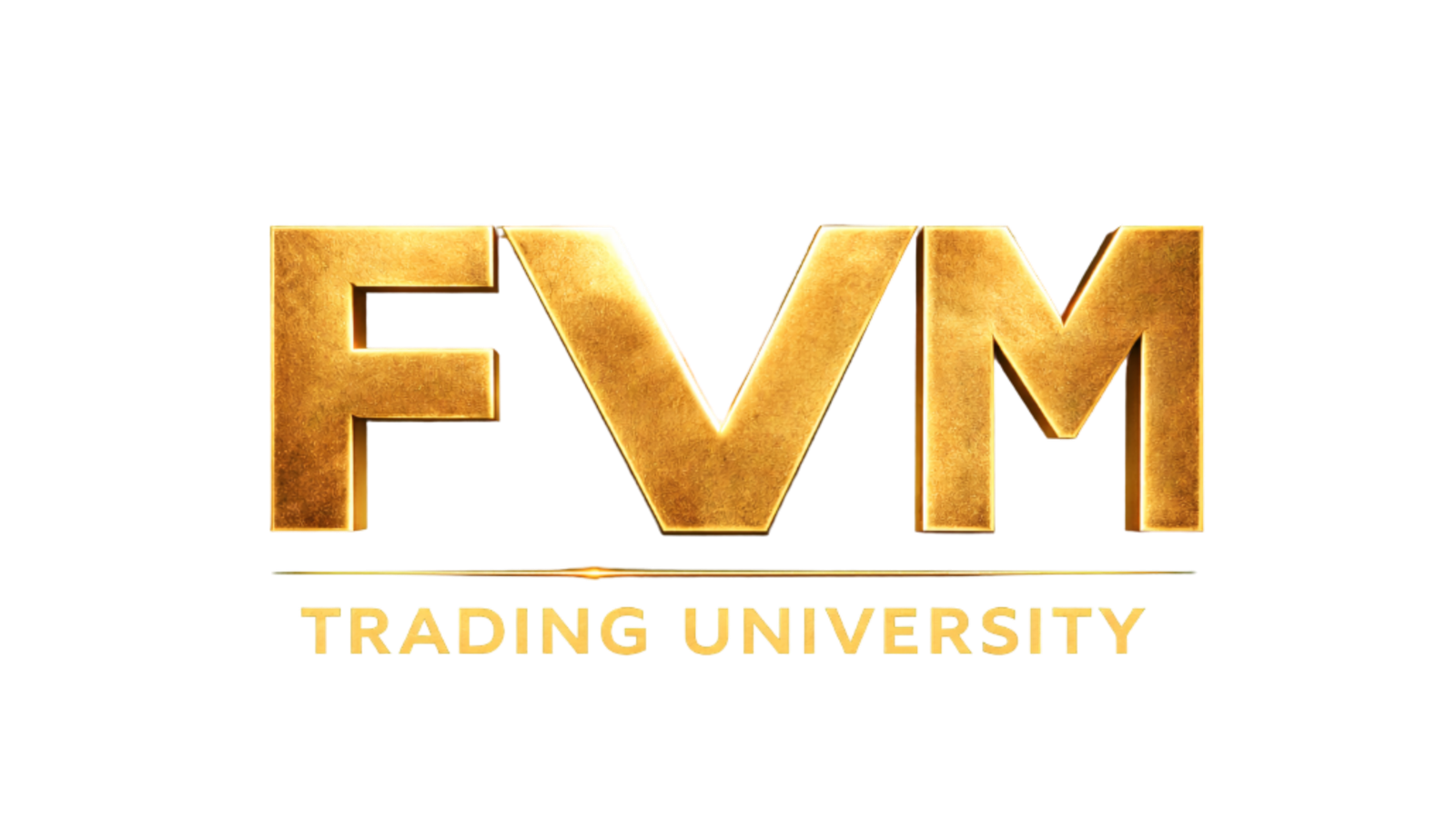 FVM Trading University Logo